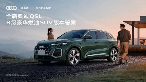 备隐私玻璃与BO音响奢享静谧座舱冰球突破游戏网站全新奥迪Q5L配(图4)